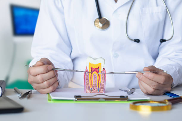 Best Emergency Dentist for Knocked-Out Tooth in Westhampton, NY